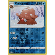 SS10_032/189 Cochignon Inverse