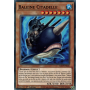 LED9-FR026 Baleine Citadelle Commune