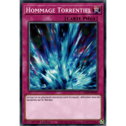 LED9-FR029 Hommage Torrentiel Commune