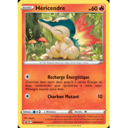 Pokémon Coffre aux Trésors Arceus