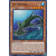 LED9-EN009 Xyz Remora Commune