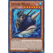 LED9-EN026 Citadel Whale Commune