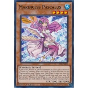 LED9-EN039 Marincess Pascalus Commune