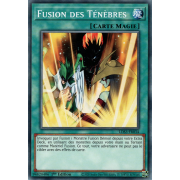 LDS3-FR034 Fusion des Ténèbres Commune