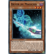 LDS3-FR086 Bâton du Magicien Commune