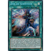 LDS3-FR095 Âme de Serviteur Secret Rare