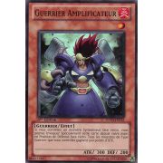 DP10-FR012 Guerrier Amplificateur Super Rare