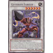 DP10-FR018 Guerrier Foreur Rare