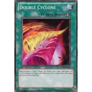 DP10-FR022 Double Cyclone Commune