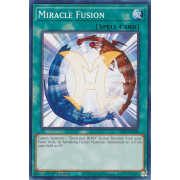 LDS3-EN106 Miracle Fusion Commune