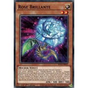 POTE-FR021 Rose Brillante Commune