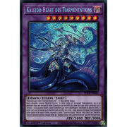 POTE-FR043 Kaleido-Heart des Tiarmentations Secret Rare