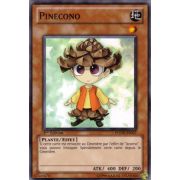 PHSW-FR007 Pinecono Commune
