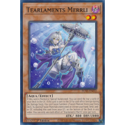 POTE-EN012 Tearlaments Merrli Commune