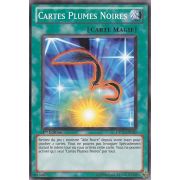 DP11-FR020 Cartes Plumes Noires Commune