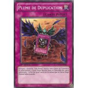 DP11-FR024 Plume de Duplication Commune