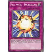 DP11-FR025 Aile Noire - Bourrasque Commune