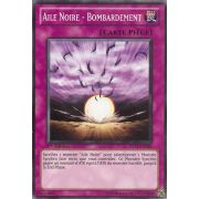 DP11-FR026 Aile Noire - Bombardement Commune