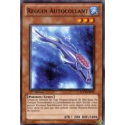 PHSW-FR009 Requin Autocollant Commune