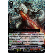 D-VS06/031EN True Ancient Dragon, Aloneros Triple Rare (RRR)