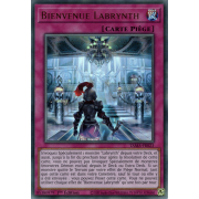 TAMA-FR023 Bienvenue Labrynth Ultra Rare