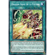 MP22-FR031 Dragon Armé de la Foudre Commune