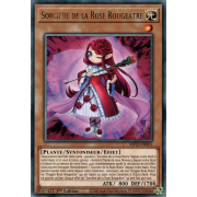 MP22-FR061 Sorcière de la Rose Rougeâtre Rare