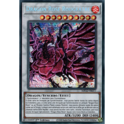 MP22-FR077 Dragon Rose Rougeâtre Prismatic Secret Rare