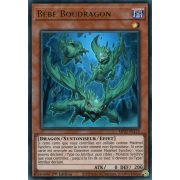 MP22-FR172 Bébé Boudragon Ultra Rare