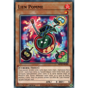 MP22-FR180 Lien Pomme Commune