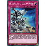 MP22-FR242 Escouade de la Coléoptroupe Commune