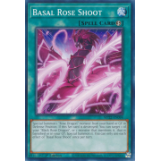 MP22-EN094 Basal Rose Shoot Commune