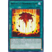 MP22-EN098 Birth of the Prominence Flame Rare