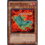 PHSW-FR017 Évoltile Westlo Super Rare