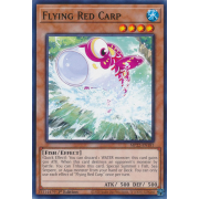 MP22-EN181 Flying Red Carp Commune