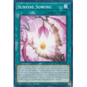 MP22-EN223 Sunvine Sowing Commune