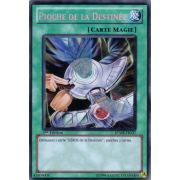 RYMP-FR037 Pioche de la Destinée Secret Rare