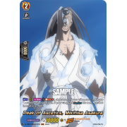 D-TB03/SKR070EN Peak of Ascetics, Mikihisa Asakura Shaman King Rare (SKR)