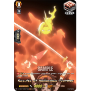 D-TB03/SKR073EN Results of Hellacious Training Shaman King Rare (SKR)