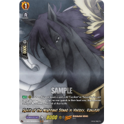 D-TB03/SKR086EN Spirit of the Mightiest Steed in History, Kokutoh Shaman King Rare (SKR)