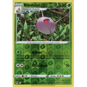 SS11_009/196 Blindalys Inverse