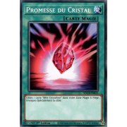 SDCB-FR023 Promesse du Cristal Commune