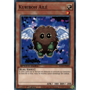 SGX2-FRA06 Kuriboh Ailé Commune