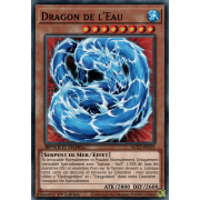 SGX2-FRC01 Dragon de l'Eau Commune