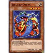 PHSW-FR028 Électro-Cobra Commune