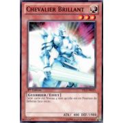 YS12-FR010 Chevalier Brillant Commune