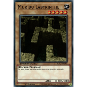 SGX2-FRD02 Mur du Labyrinthe Commune