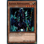 SGX2-FRD12 Kaiser Hippocampe Commune
