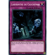 SGX2-FRD20 Labyrinthe du Cauchemar Commune