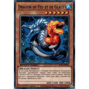 SGX2-FRE04 Dragon de Feu et de Glace Commune